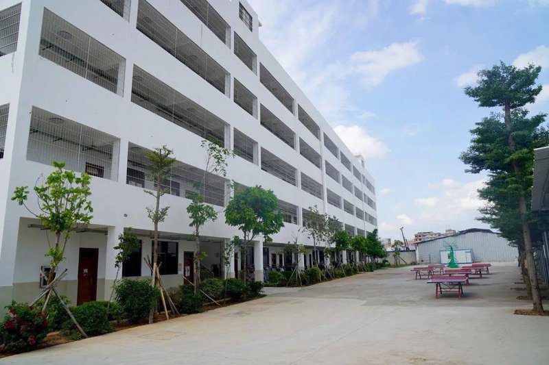 中小学辅导:教育新风尚
